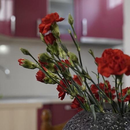 Priko Cetine Διαμέρισμα Omiš Εξωτερικό φωτογραφία